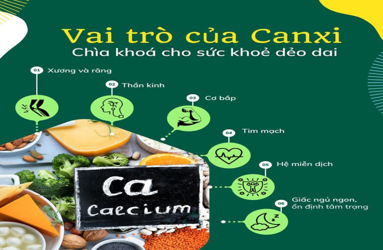 Canxi là gì? Tìm hiểu về các loại canxi và vai trò quan trọng đối với cơ thể
