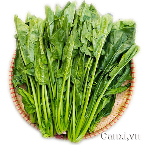 Cải bó xôi giàu canxi