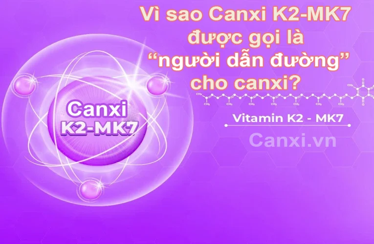 Vì sao Canxi K2-MK7 được gọi là “người dẫn đường” cho canxi?