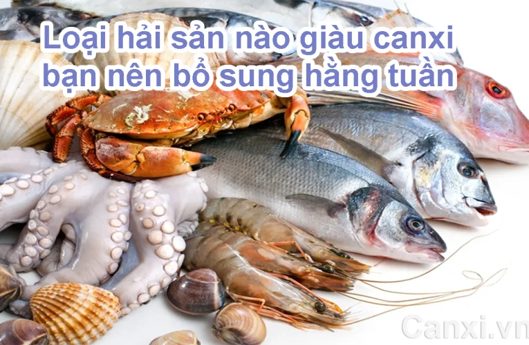 Loại hải sản nào giàu canxi bạn nên bổ sung hằng tuần