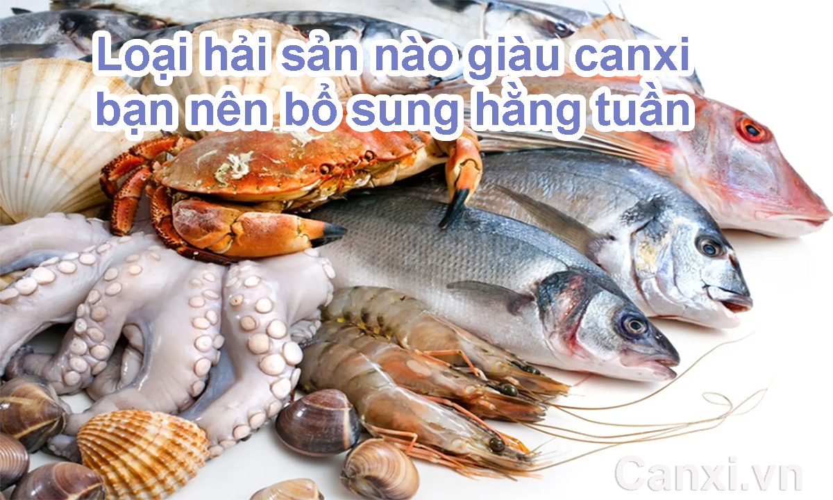 Loại hải sản nào giàu canxi