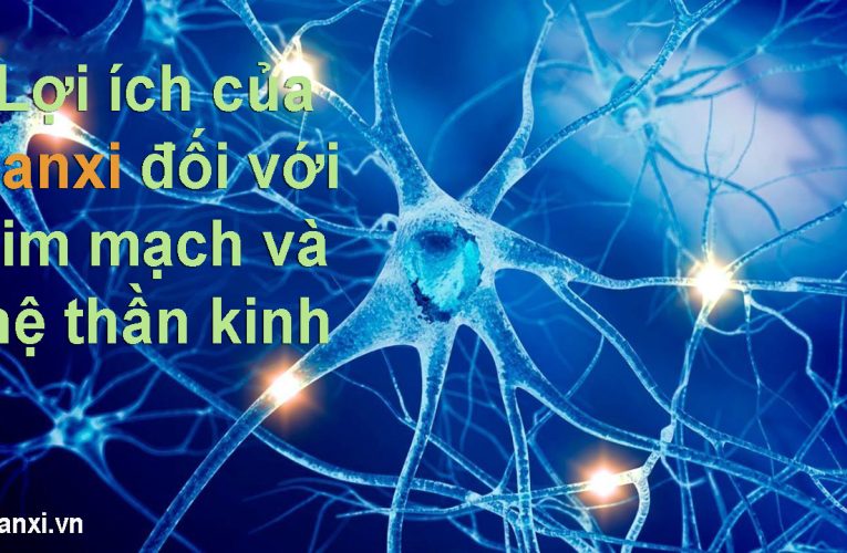Lợi ích của canxi đối với tim mạch và hệ thần kinh