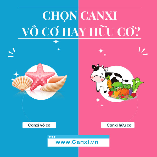 Bạn chọn canxi hữu cơ hay canxi vô cơ ?