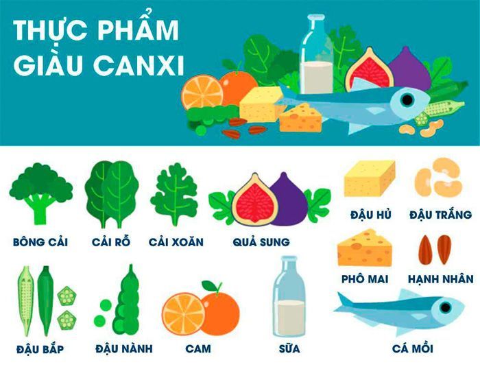 Danh sách các thực phẩm giàu canxi