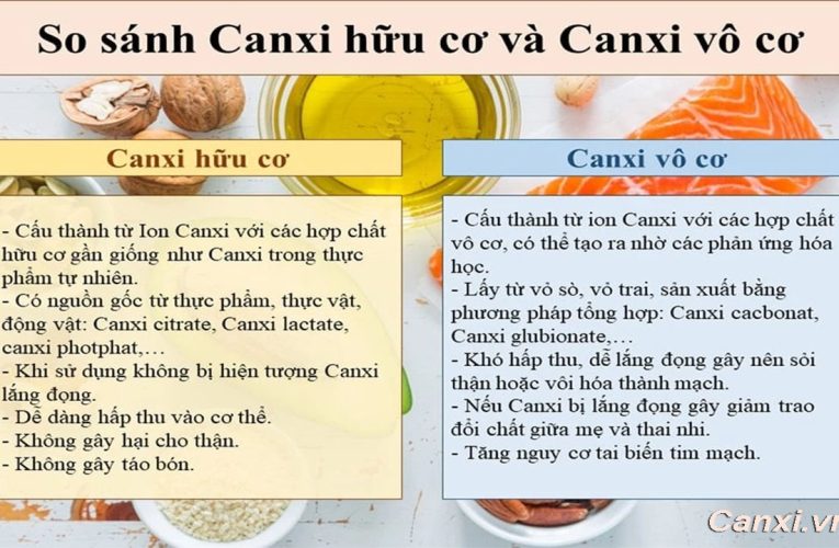So sánh canxi hữu cơ và canxi vô cơ: Loại nào hấp thu tốt hơn?