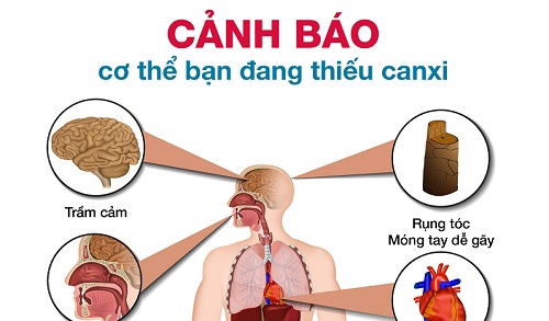 cơ thể thiếu canxi