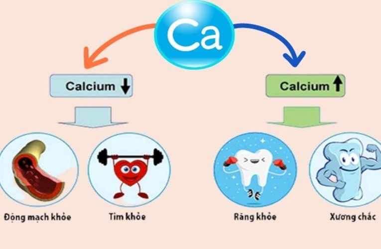 Vai trò của canxi đối với sức khỏe xương và răng