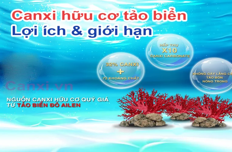 Lợi ích từ canxi hữu cơ tảo biển
