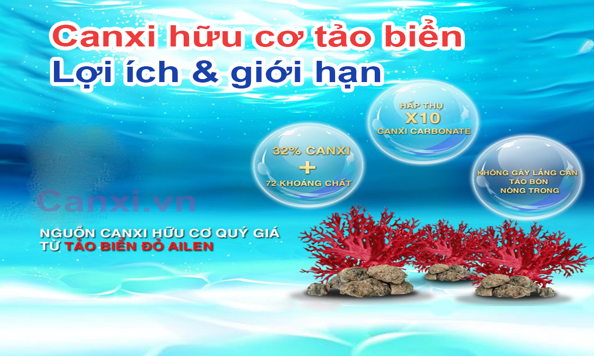 Lợi ích từ canxi hữu cơ tảo biển