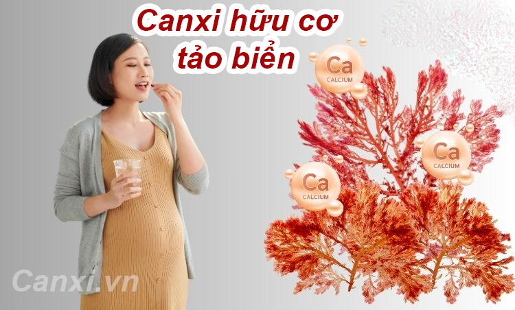 canxi hữu cơ từ tảo biển