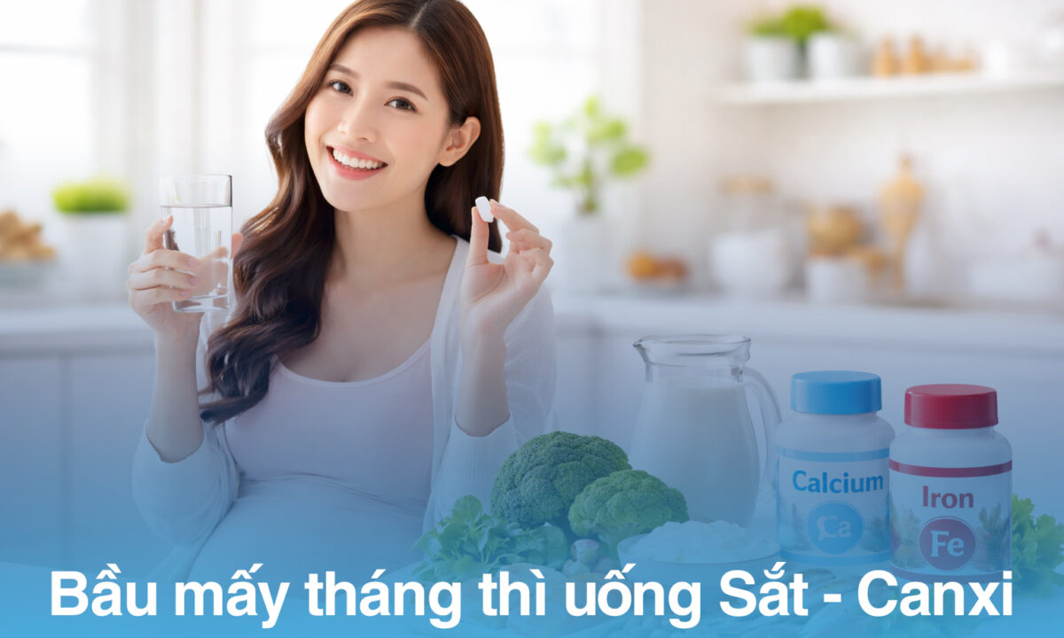 Bầu mấy tháng thì uống Sắt - Canxi